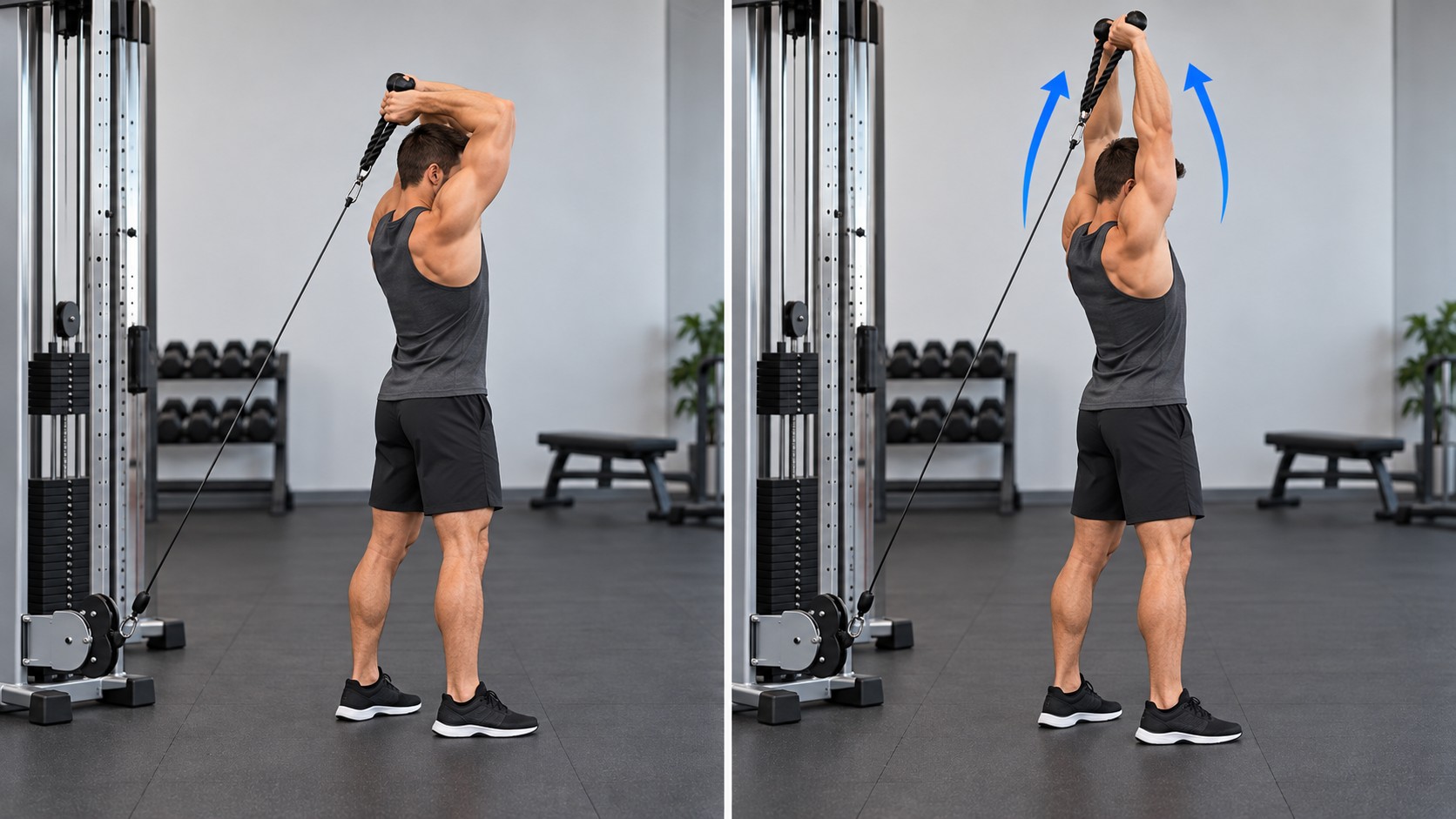 Cable French Press — exercise demonstration